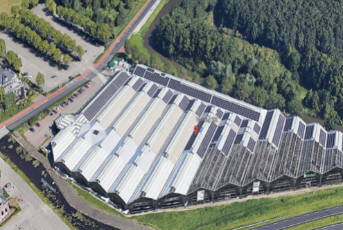 intratuin zoetermeer