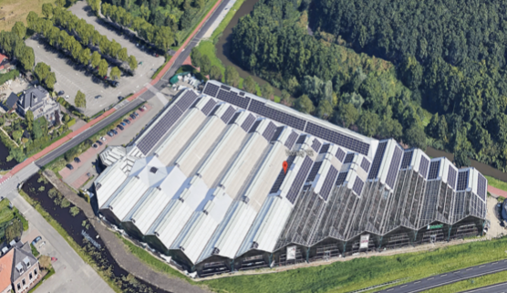 intratuin zoetermeer