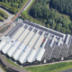 intratuin zoetermeer